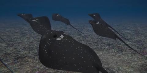 Turkey Develops First Indigenous Stingray-shaped Armed Underwater Drone