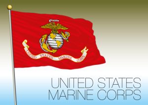 Image for US Marine Corps Commences First of Four Phase Experiment with Light Amphibious Vehicle Replacement